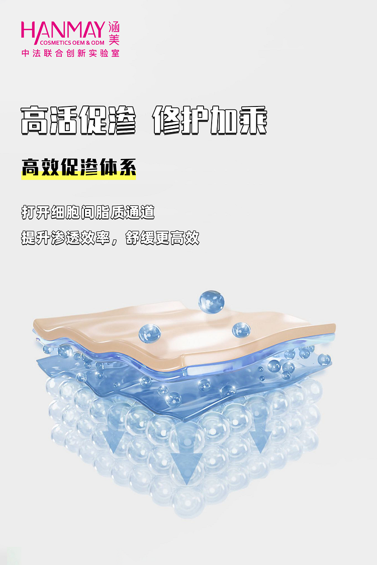 油橄榄修护系列02.png